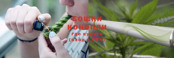 PSILOCYBIN Богданович