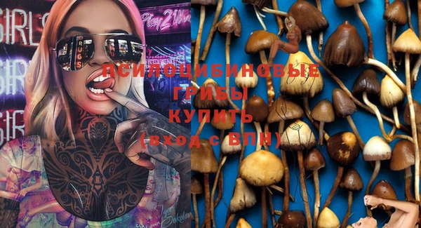 ешки Балахна